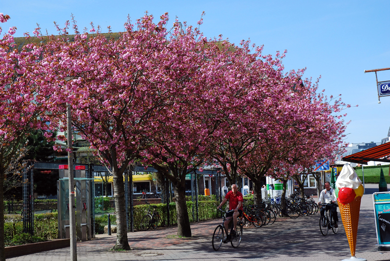 Borkum-im-April-032.jpg