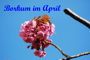 Borkum-im-April.jpg