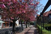 Borkum-im-April-031