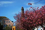 Borkum-im-April-034